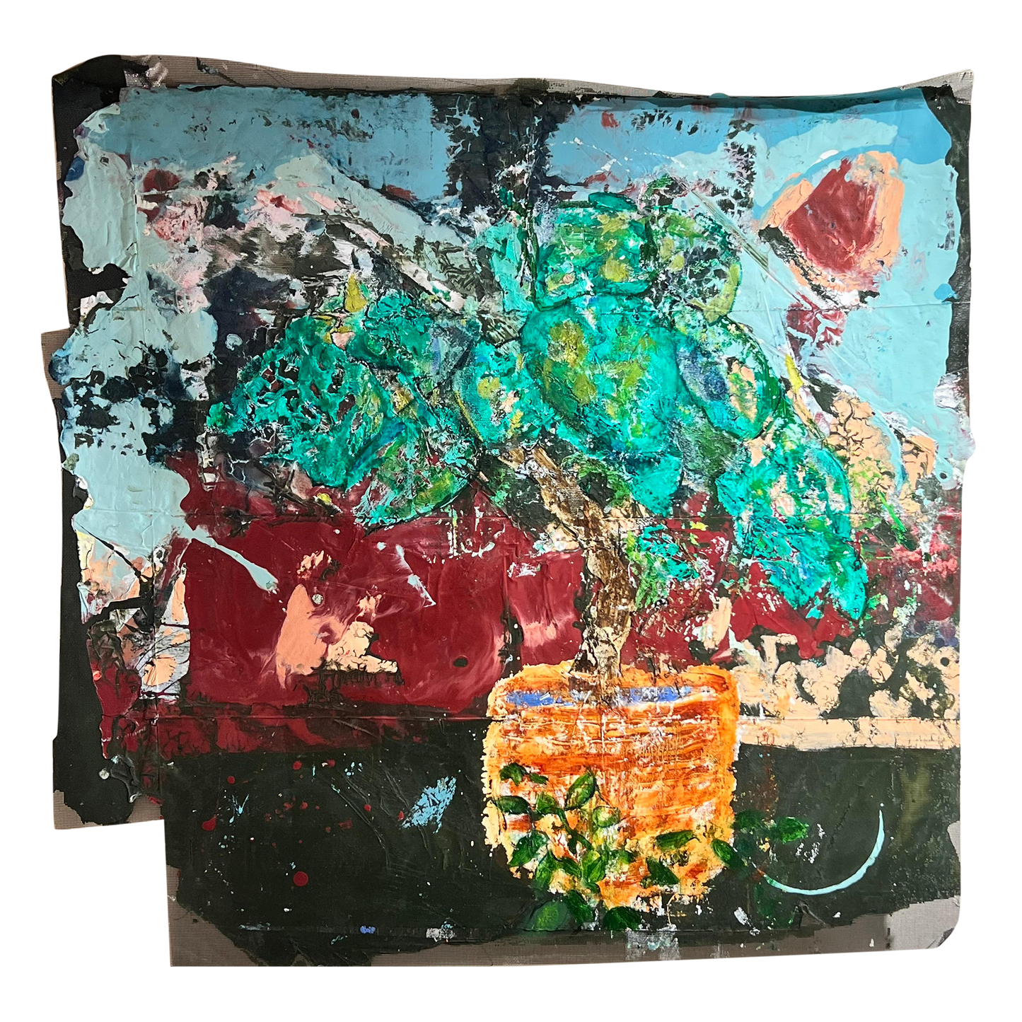 Elephant Ear Plant #2 (night)