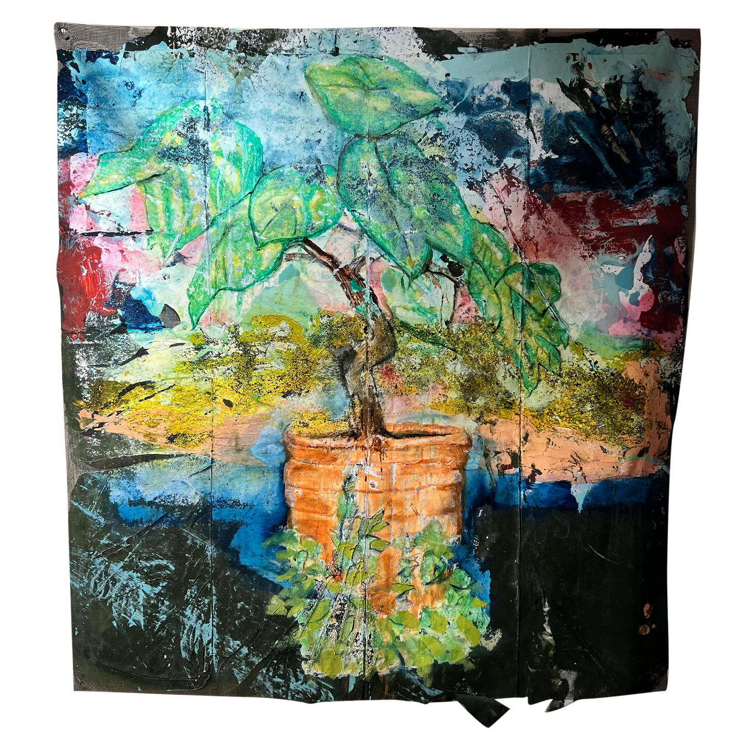 Elephant Ear Plant #1 (day)