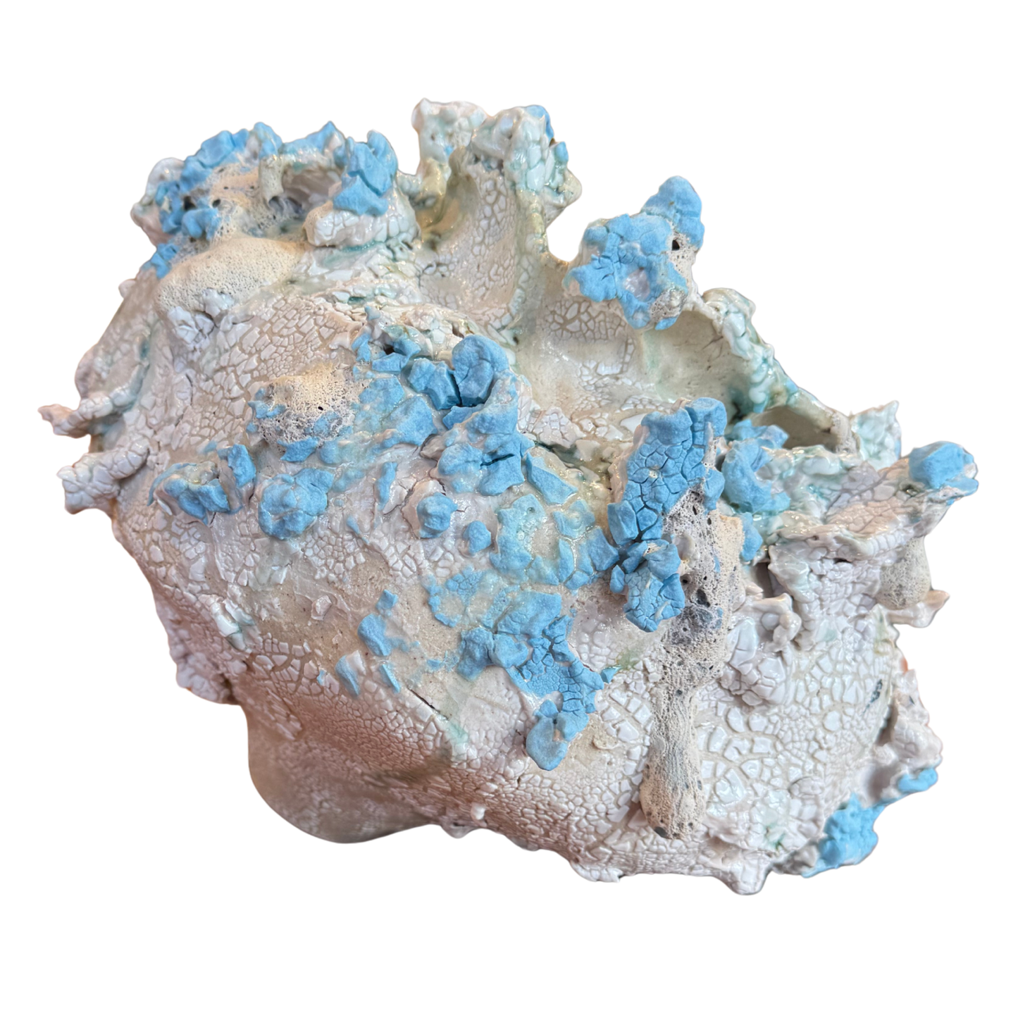 Fragments of a Sea Moon Jar