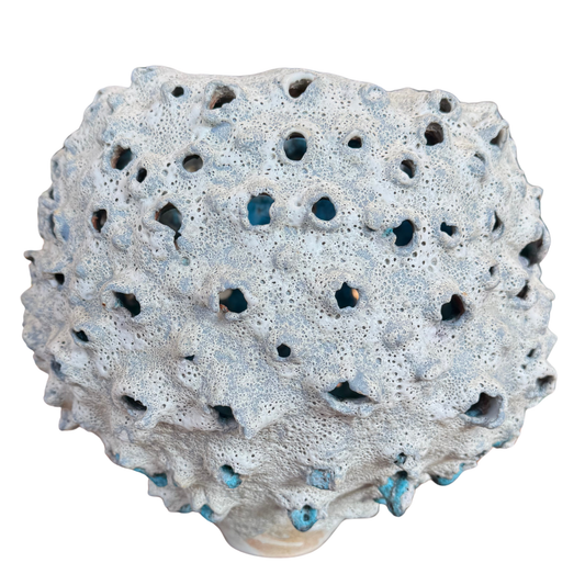 Lunar Coral Vessel