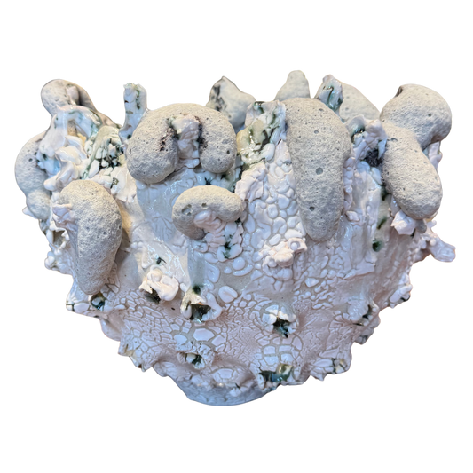 Salt Flower of the Moon